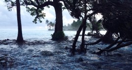 Les réfugiés climatiques, éternels « oubliés du Droit » ?