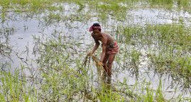 Changement climatique et migration de masse : une menace grandissante pour la sécurité mondiale