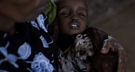 Conflits et climat : pourquoi les famines sont de retour