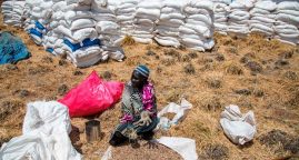Famine warning signs were clear – so why are 20 million lives now at risk?