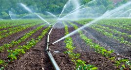 Food trade drains global water sources at ‘alarming’ rates