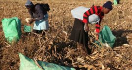 Pour la troisième année d’affilée, la faim progresse dans le monde